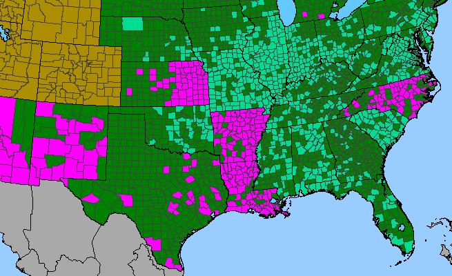 The range of Ipomoea hederacea